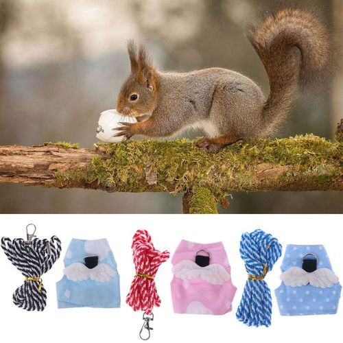 Bon66 Petit Harnais Pour Animal Domestique Laisse De Hamster? Ailes De Cochon D'inde? Gilet Vêtements