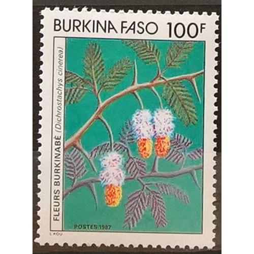 Burkina Faso, Timbre-Poste Y & T N° 735, 1987 - Fleurs Burkinabé (Dichrostachys Cinerea)