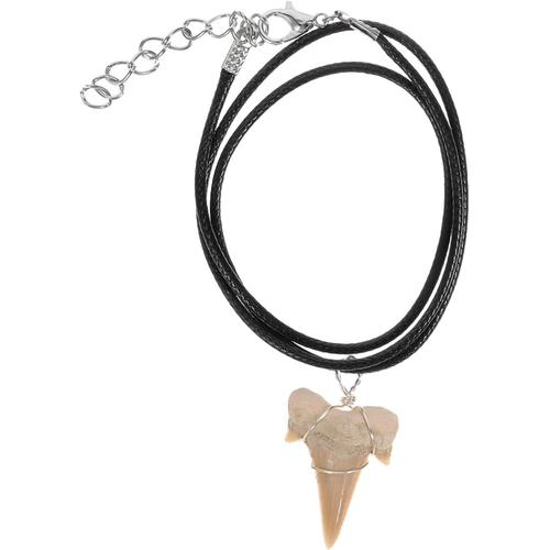 Collier De Dents De Requin Cool Foulard Collier De Dame Décor Colliers Charmes De Dents De Requins Collier Dent De Requin Pour Femme Tisser Spécimen Maroc Pendentif Manquer Fossile