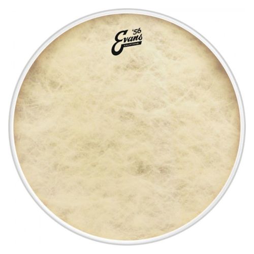Evans Bd18ct - Peau De Grosse Caisse Calftone 18 Pouces