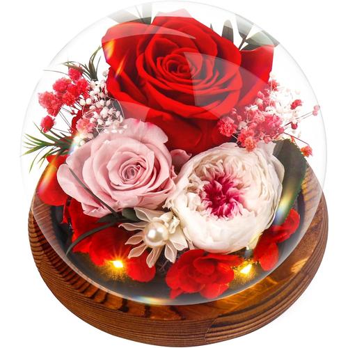 G-Rouge Rose Eternelle Fleur Éternelle - Rose Sous Cloche,Naturelle Fleur Avec Lumière Led Pine Base Et Carte De Voeux, Cadeau Pour Femmes Copine Et Maman Mamie - Fête Des Mères Anniversaire, Merci