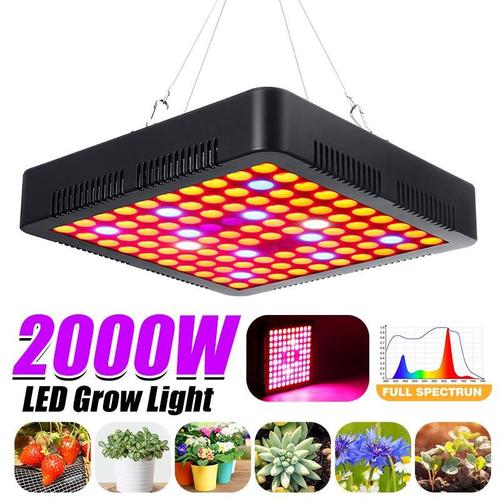 Lampe horticole de croissance LED, 2000W, 100/AC100-240V, spectre complet, avec prise EU/US, pour tente/chambre de culture intérieure, plantes