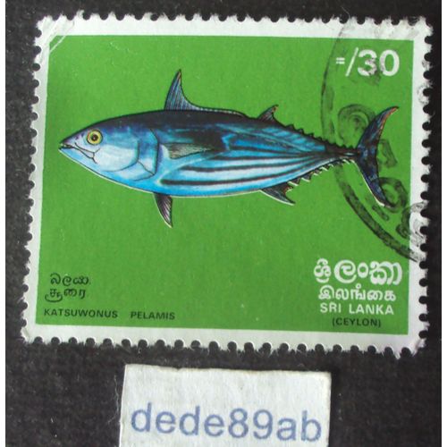 Sri Lanka.. 30cents Ceylon . Katsuwonus Pelamis . Poisson Bonite À Ventre Rayé