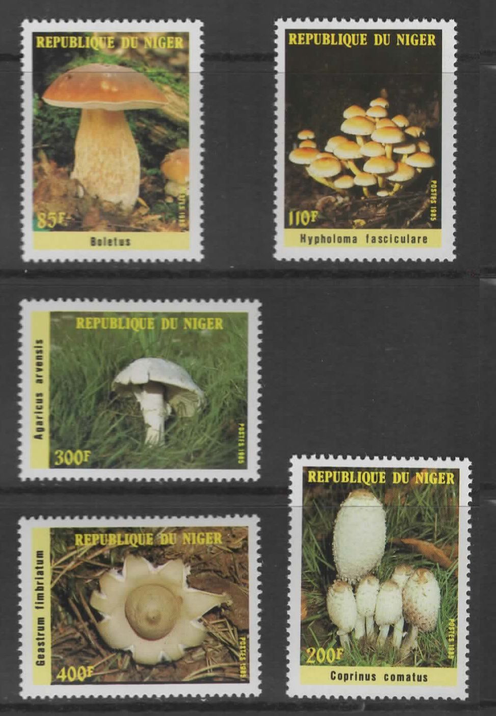 République Du Niger, Timbres-Poste Y & T N° 692 À 696, 1985 - Flore, Champignons