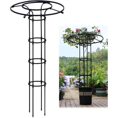 Obélisque De Jardin Porte - Plantes D'escalade En Plein Air 90cm 120cm 150cm 180cm 210cm | Porte - Raisins De Jardin Ombrelle Robuste, Tomate, Pois | Cage De Soutien Floral (Size : 120cm/4ft)