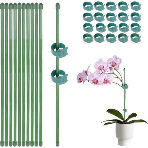 Vert 10Pcs 30cm Tuteur Plante 20Pcs Clip Attache Tige Support Plante Grimpante Orchidée Maison Jardin