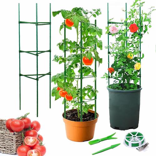 Verte Générique Tuteur Tomate Support Plante Grimpante, Vertical Cage À Tomates Treillis Pour Jardin Grimper Légumes & Fleurs Et Fruits Grow Stick,Réutilisable(3 Pack)