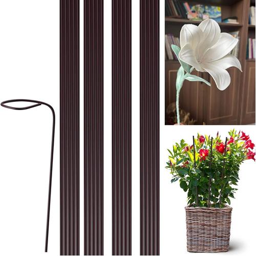 Marron Tuteur Plante Grimpante Interieur Piquets De Support Pour Plantes Tige Unique Tuteurs Tomates Jardin Orchidée Rose Supports 20 Pcs