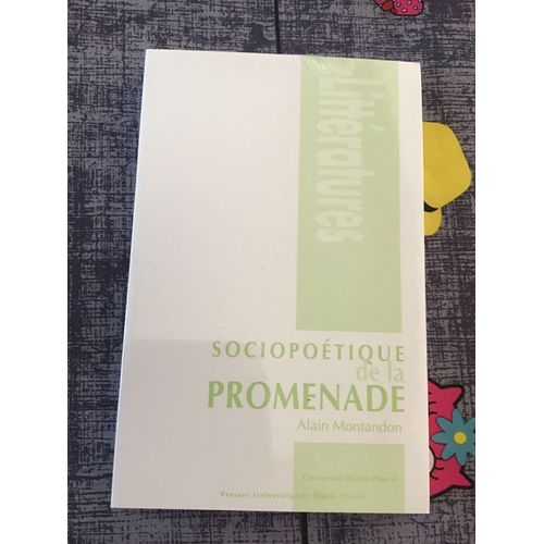 Sociopoétique De La Promenade