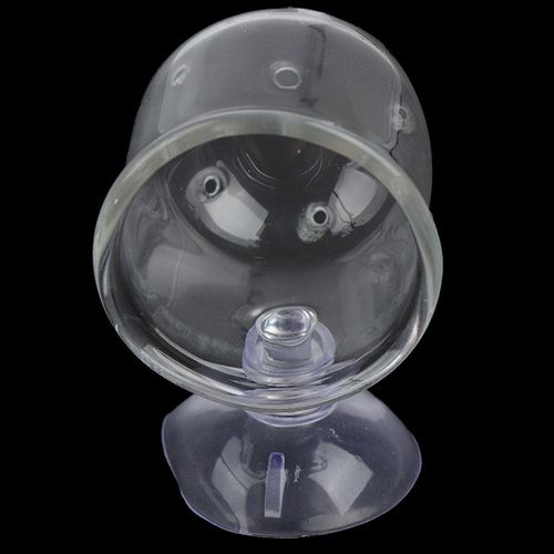 Pot En Verre Plante Alimentation Support De Verre Crevettes Aquarium Aquarium Mangeoire Aquatique Aquarium Fournitures