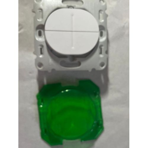 Duo va et vient + poussoir  ancien ovalis Schneider S260285