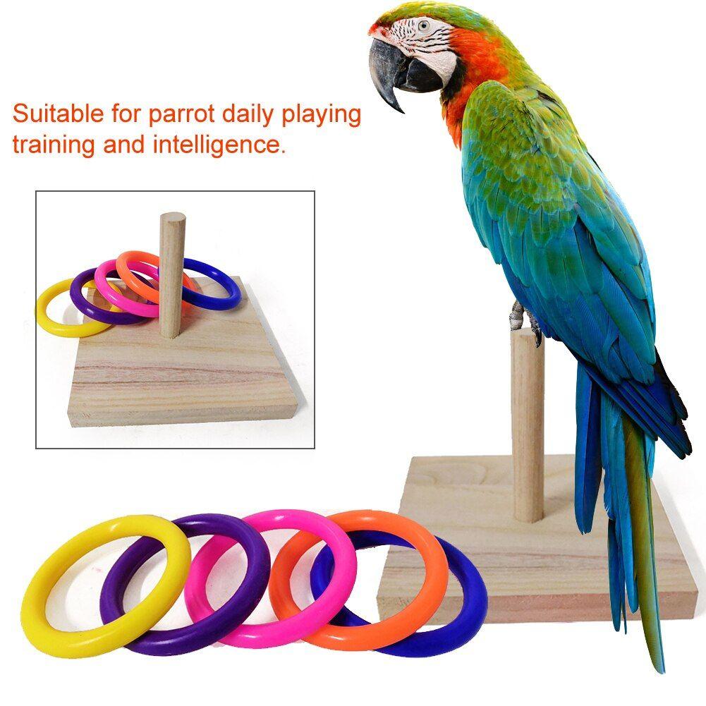 Jouets d'entraînement pour oiseaux perroquet jouet perruche cacatoès  planche
