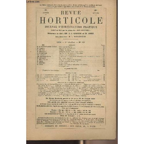 La Revue Horticole 1894 N° 13 - 66e Année 1er Juil. 1894 - Chronique Horticole - Chrysanthème Gerbe D Or - L Oeillet De Chine - Utilisation Des Fruits Du Rosa Rugosa - Une Forcerie De Raisins À(...)
