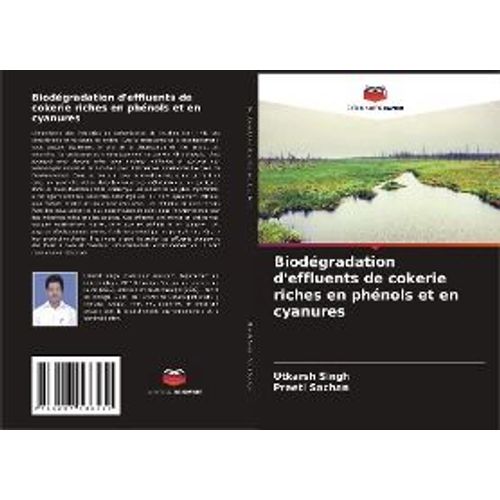 Biodégradation D'effluents De Cokerie Riches En Phénols Et En Cyanures