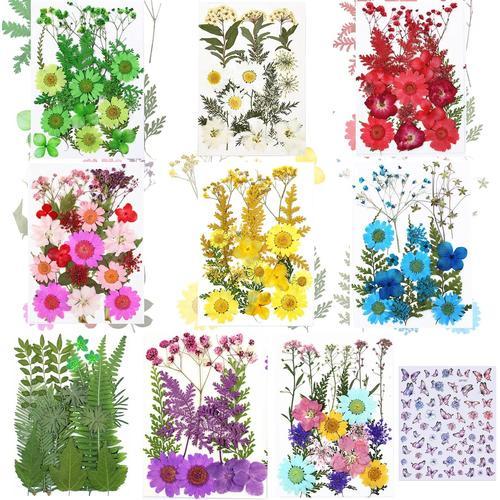 Style 4 173 Pièce Fleurs Séchées Naturelles Fleurs Pressé Séchées Naturelles Florales Naturelles Feuille De Fleurs Pressées Pour Bricolage Résine Bijoux Faisant Floraux Nail Art