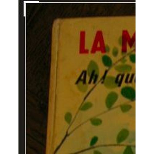 La Maison De Toutou: Ah! Quelle Aventure!