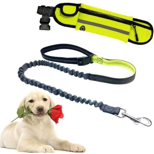 Laisses Pour Chiens Laisse Mains Libres Pour Chien Avec Couture Réfléchissante Laisse Pour Chien Mains Libre Animaux Entraînement Chien Vert