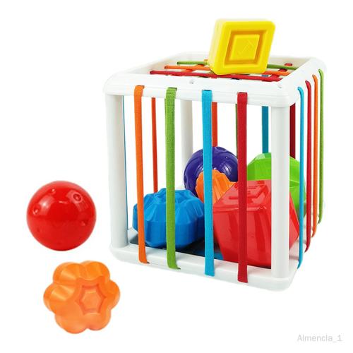 Cube Bin Motricité Fine Montessori Jouet Pour Bébé 12-18 Mois Tout-Petits