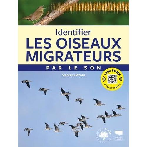 Identifier Les Oiseaux Migrateurs Par Le Son