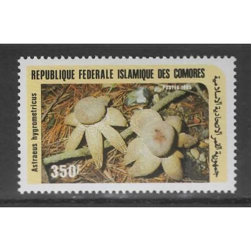 République Fédérale Islamique Des Comores, Timbre-Poste Y & T N° 438, 1985 - Flore, Champignon, Astraeus Hygrometricus