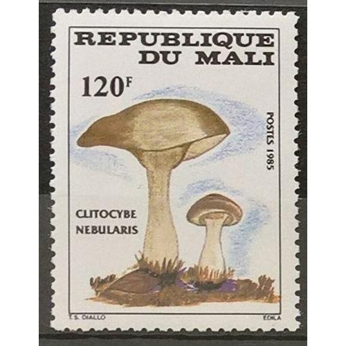 République Du Mali, Timbre-Poste Y & T N° 515, 1985 - Flore, Champignon, Clitocybe Nebularis