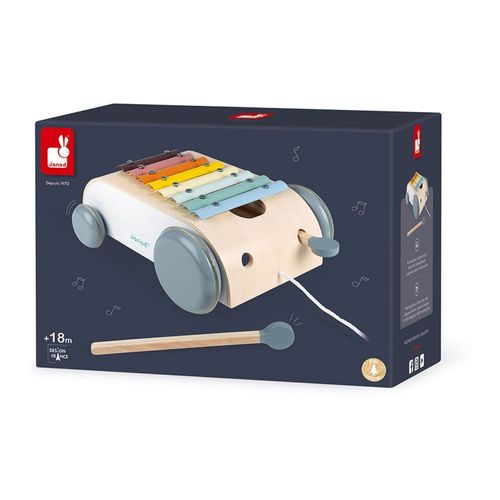Chariot bébé xylo roller Sweet cocoon - Janod