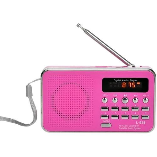 Portable Radio, Radio Portable à Ondes Courtes Radio FM avec la Meilleure réception Support de Carte SD USB Pilote AUX Entrée Lecteur MP3 Batterie Rechargeable (Color : Pink)