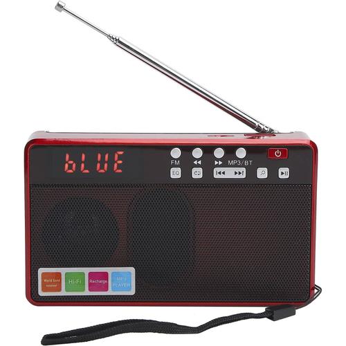 Radio FM, Haut-Parleur Radio sans Fil, Lecteur Radio Portable, avec Antenne Rotative et Télescopique, Prise en Charge de la Carte Mémoire, Disque U, Plage FM87,5-108 MHz