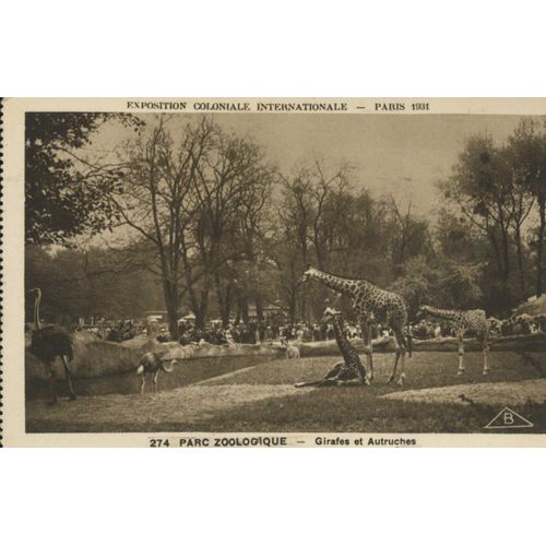 Carte Postale De Paris : Exposition Coloniale Internationale De Paris, 1931 : Parc Zoologique : Girafes Et Autruches (Réf.274)