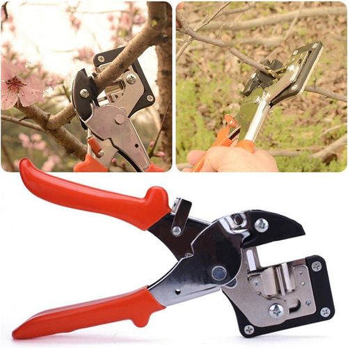 Jardin arbre fruitier Pro sécateur ciseaux greffage outil de coupe sécateur arbre outil de coupe jardin engreffage greffage ensemble d'outils