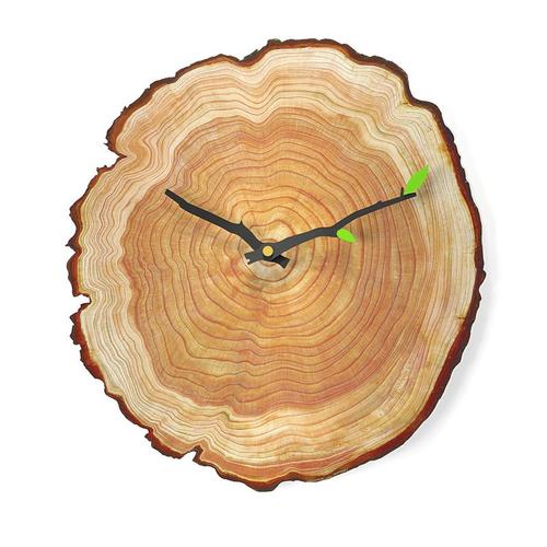 Horloge murale créative 12 pouces salon silencieux année Quartz anneau montre bois Grain horloge