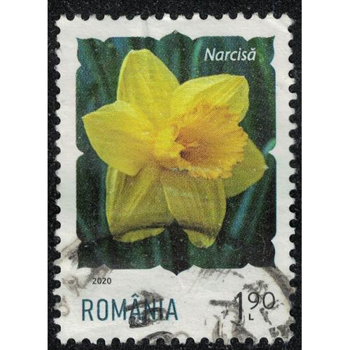 Roumanie 2020 Oblitéré Used Fleur Daffodil Jonquille Su