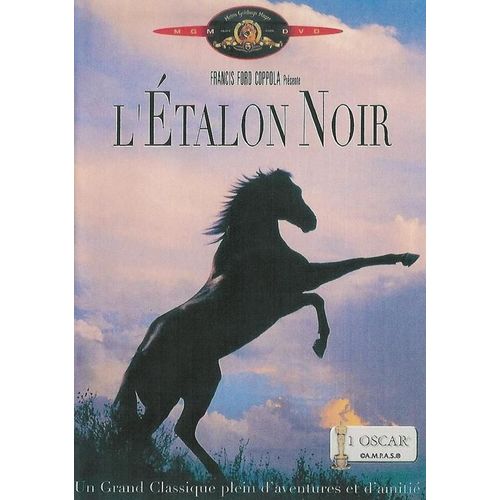 La Saga De L'étalon Noir : L'étalon Noir + Le Retour De L'étalon Noir