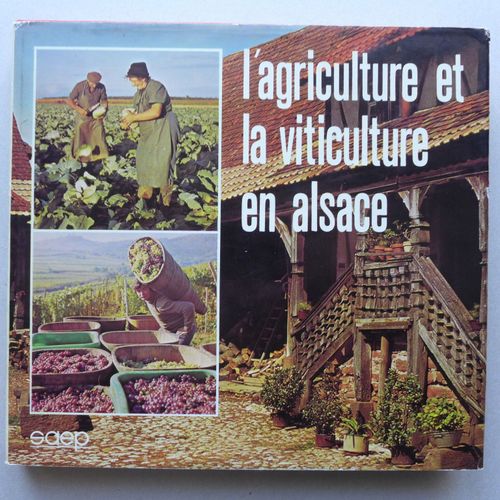 L'agriculture Et La Viticulture En Alsace À Travers Les Siècles