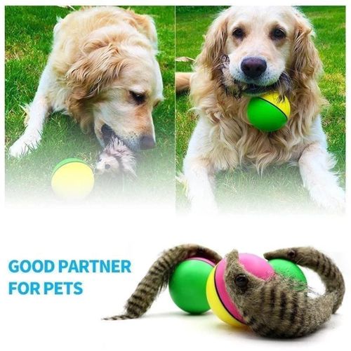 Jouets En Forme De Plume Pour Chat, Boule Interactive Avec Petite Cloche, Nouveau Chien Arc-En-Ciel, Super Chien, Fournitures