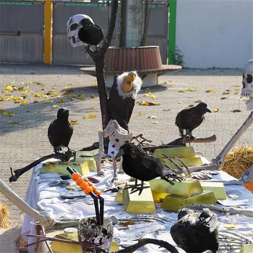 Modèle de corbeau noir d'halloween, 1 pièce, Simulation d'oiseau, jouets effrayants pour fête, boutique à domicile, accessoires d'horreur, décoration d'halloween