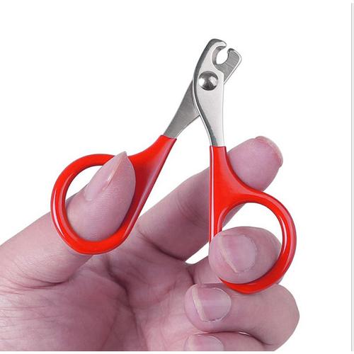 Coupe-Ongles Professionnel Pour Animaux De Compagnie, Ciseaux À Ongles Pour Chiens Et Chats, Produits De Toilettage Pour Petits Chiots En Plein Air