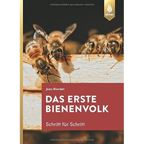 Das Erste Bienenvolk - Schritt Für Schritt