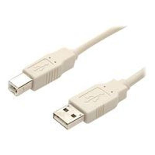 StarTech.com Câble USB 2.0 A vers B de 91 cm - Cordon USB A vers USB B - M/M - Beige - Câble USB - USB (M) pour USB type B (M) - 0.9 m - moulé