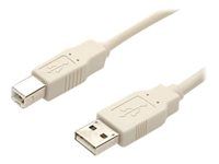 StarTech.com Câble USB 2.0 A vers B de 91 cm - Cordon USB A vers USB B - M/M - Beige - Câble USB - USB (M) pour USB type B (M) - 0.9 m - moulé