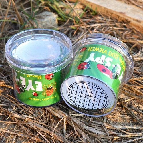 Insectes Petit Animal Loupe Verre Araignée Cylindrique Jouet Éducatif Bouteille Plastique Insectes Visionneuse Observation Nouveautés