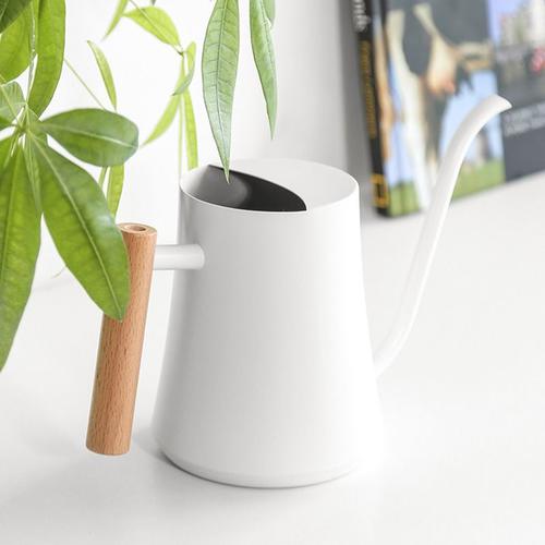 Arrosoir pour plantes d'intérieur, petit arrosoir pour plantes d'intérieur, fleurs de jardin, arrosoir avec long bec pour arroser les plantes d'extérieur, blanc