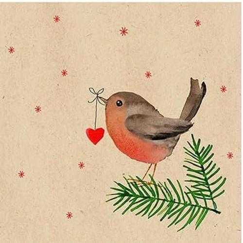 Lot De 20 Petites Serviettes À Cocktail En Papier Recyclé Motif Oiseaux De Noël Avec C¿Ur Sur Branches 25 X 25 Cm