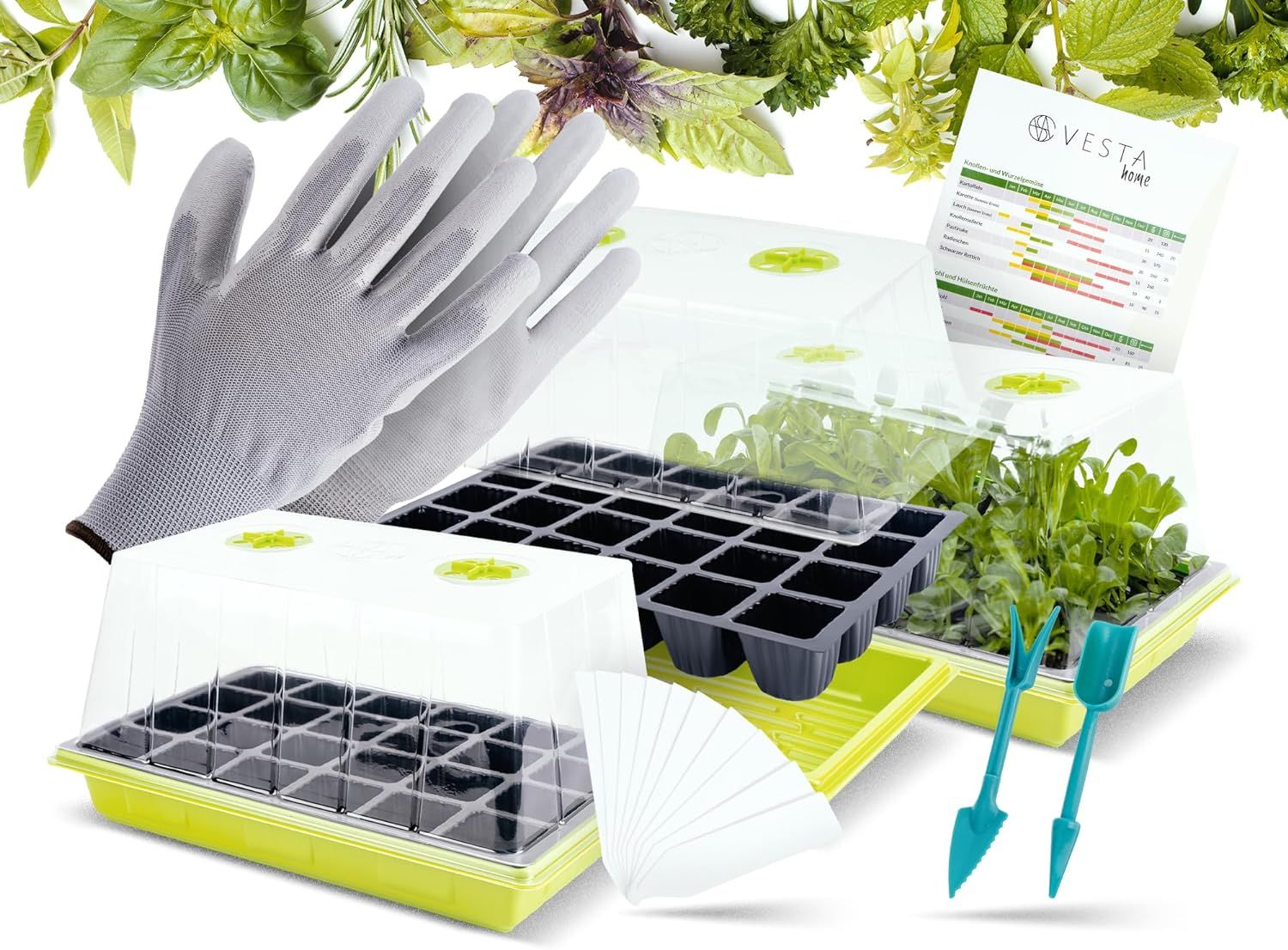 Mini Serre (Lot De 3) ¿ Avec Gants, Étiquettes, Fourchette Et Tige ¿ Kit De Culture Pour Plantes À 72 Cellules ¿ Serre D'intérieur D'intérieur