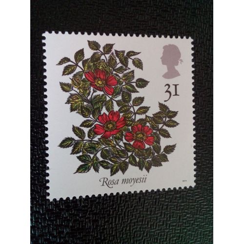 Timbre Royaume Unis Yt 1553 Rosa Moyesii 1991 ( 030804 )