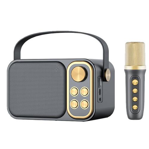 Ensemble Audio KTV familial 13W, double Microphone sans fil intégré, Machine à chanter, karaoké Portable en plein air, boîte de haut-parleurs Bluetooth