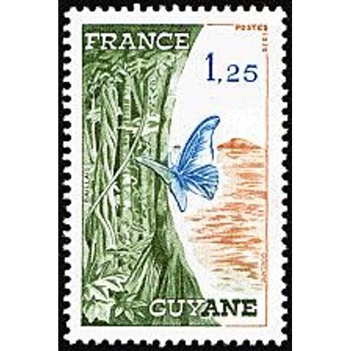 Régions Administratives Guyane