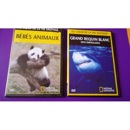 " Lot De 2 Dvd National Géograhic" Au Coeur De La Vie Sauvage " Bébés Animaux Et Grand Requin Blanc Sous Surveillance