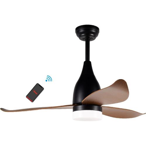 Ventilateur de Plafond Garigliano, Marron, 117x51x117 cm