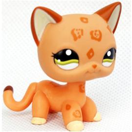 Ps Littlest Petshop Chat Europeen Tachete 11 Rakuten